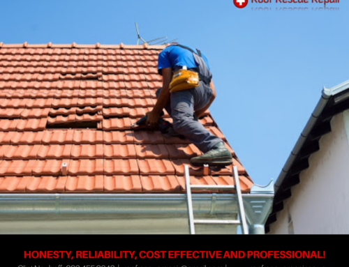 Maintaining your Roof